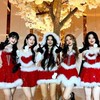 K-pop動物園【免宣拐】