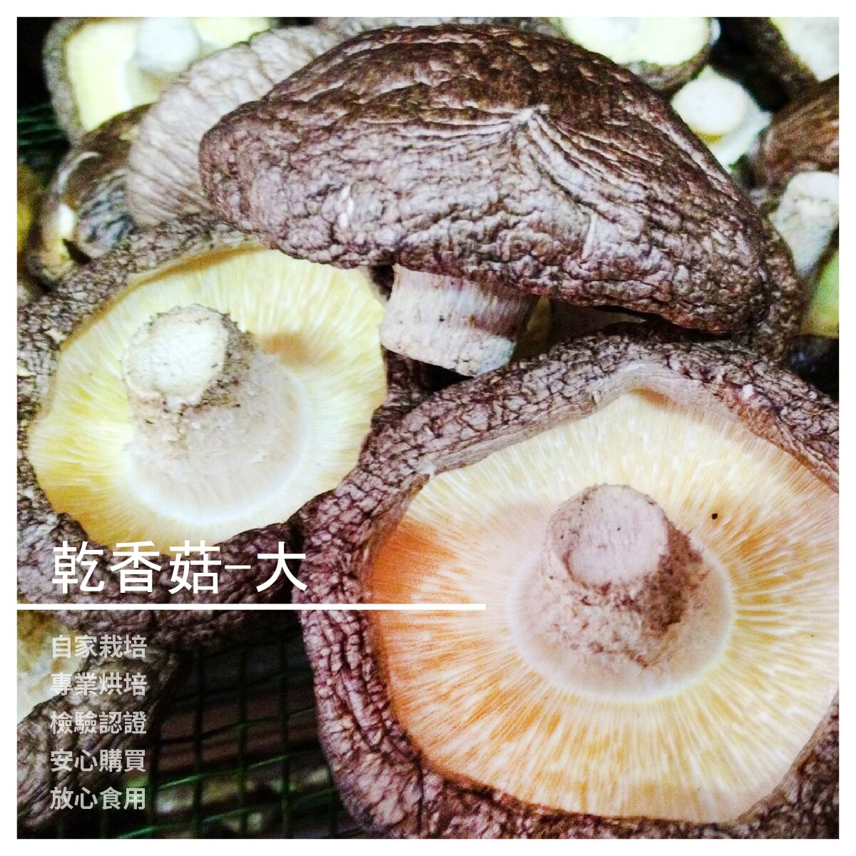 【埔豐香菇農場】乾香菇 大/1台斤