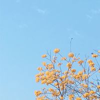 長榮大學會計資訊學系(CJCU AIS)
