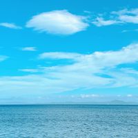 三浦半島みんなで応援したい♡