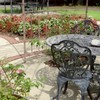 明日の芽吹きをかたはらに待つ《全也炉留必須》