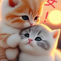 👑寵物聯盟🐒毛孩🐠魚🐱貓🐶狗🐰兔子🐭天竺鼠🐢烏龜爬蟲🐦鸚鵡鴿子🌻團購昆蟲💖飼養領養🦉動物梗圖🦎流浪🐾