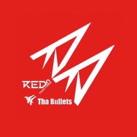 旧)RED° Bullets