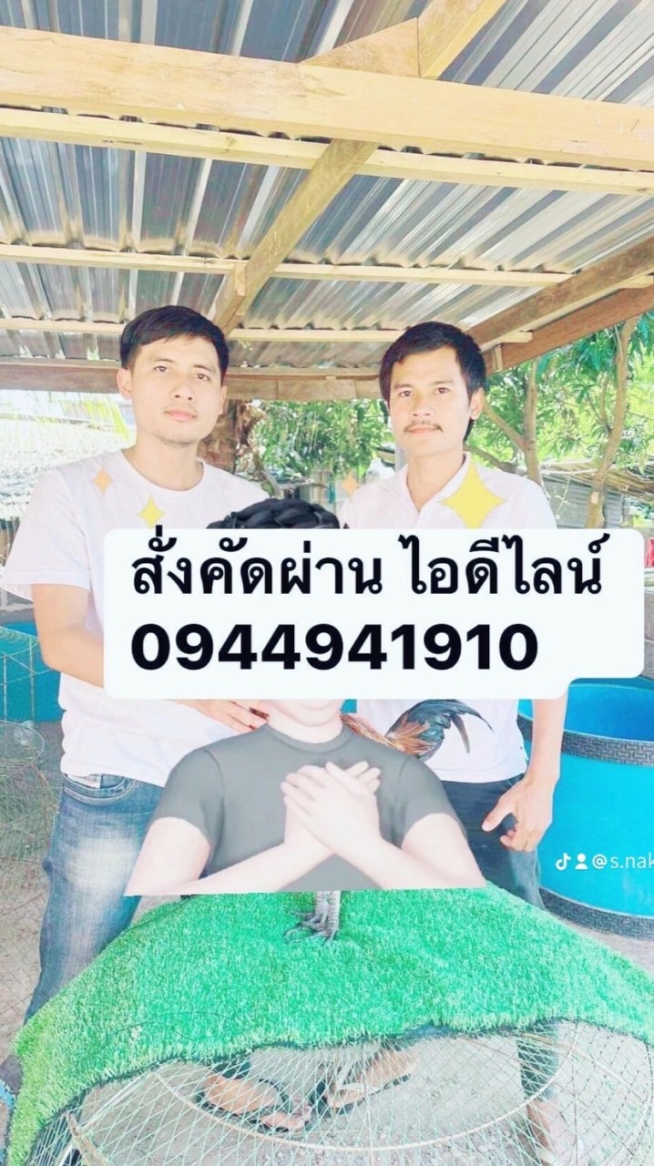 ซื้อขายประมูลไก่ ส.นครดงฟาร์ม