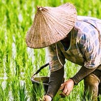 麗池米 · 山泥❤️語