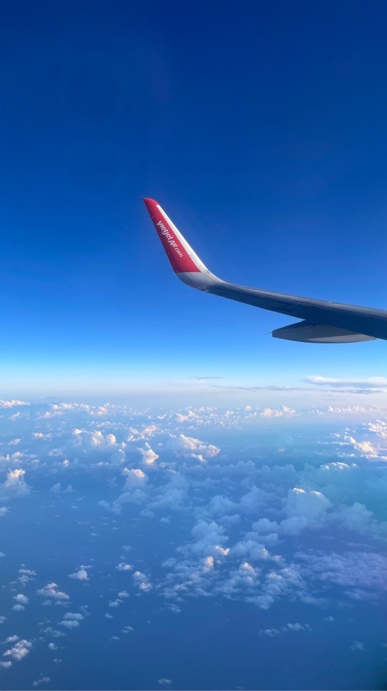 糖糖放風計畫✈️