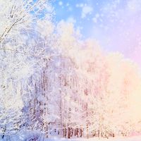 大人の雑談🗣︎💕︎この広い空の下で❣️シングル限定‼️