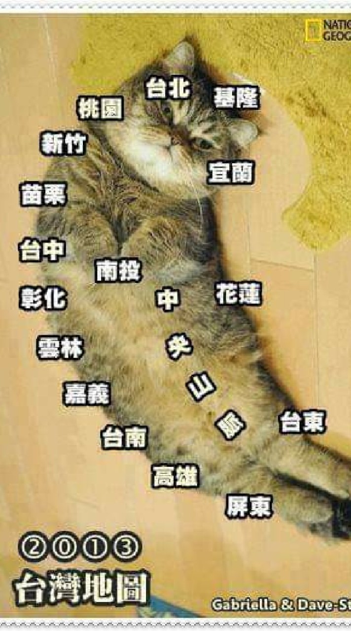 璇璇的廣播電台