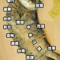 璇璇的廣播電台