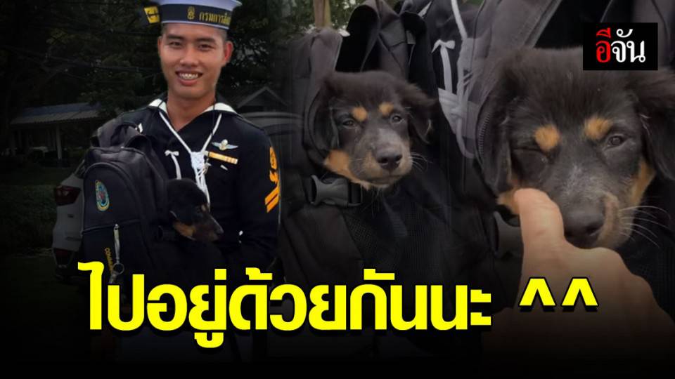 มาเรียน จ่าทหารเรือ อย่างไรให้ได้ ลูกหมา กลับบ้าน ! | อีจัน | LINE ...