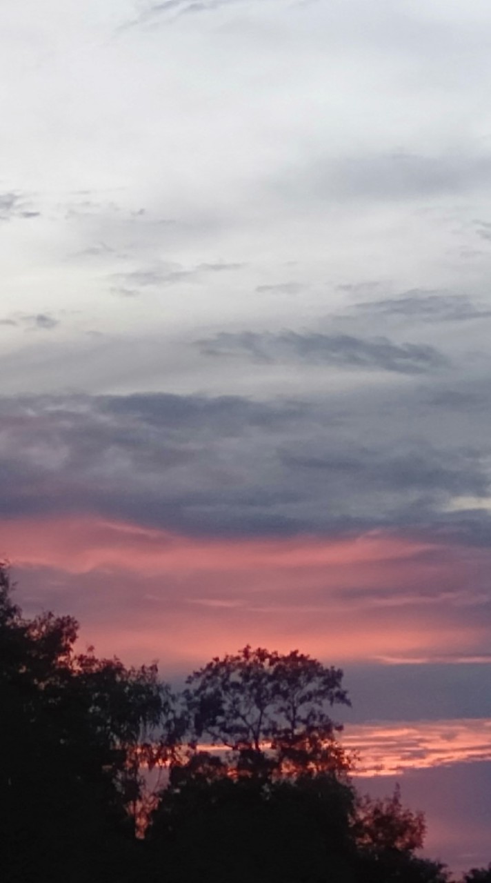 แลกไลน์   แลกไอจี    โมนะค่ะ