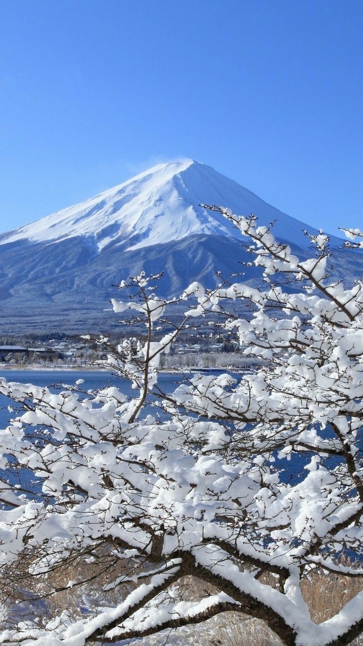 〜🗻篠崎〜日本株🇯🇵〜