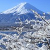 〜🗻篠崎〜日本株🇯🇵〜