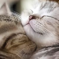 深夜いつめんディスコ