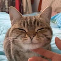 愛分享生活趣事