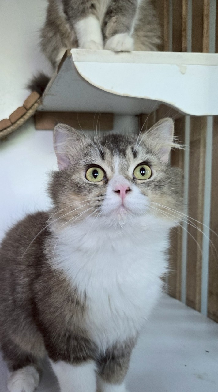 เติมเปียกกัน บ้านมี๊เกด🥰🐈