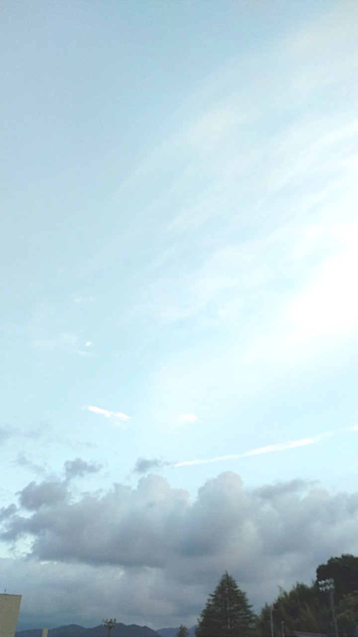 み ！ 激緩也