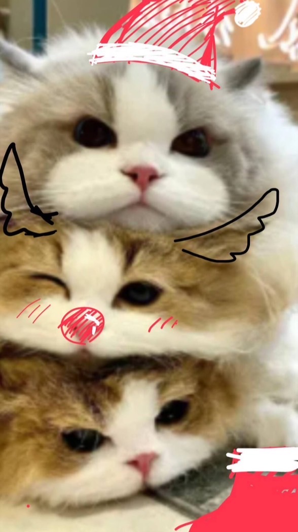 みんなで夜更かし！雑談！ゲーム！