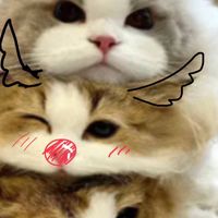 みんなで夜更かし！雑談！ゲーム！
