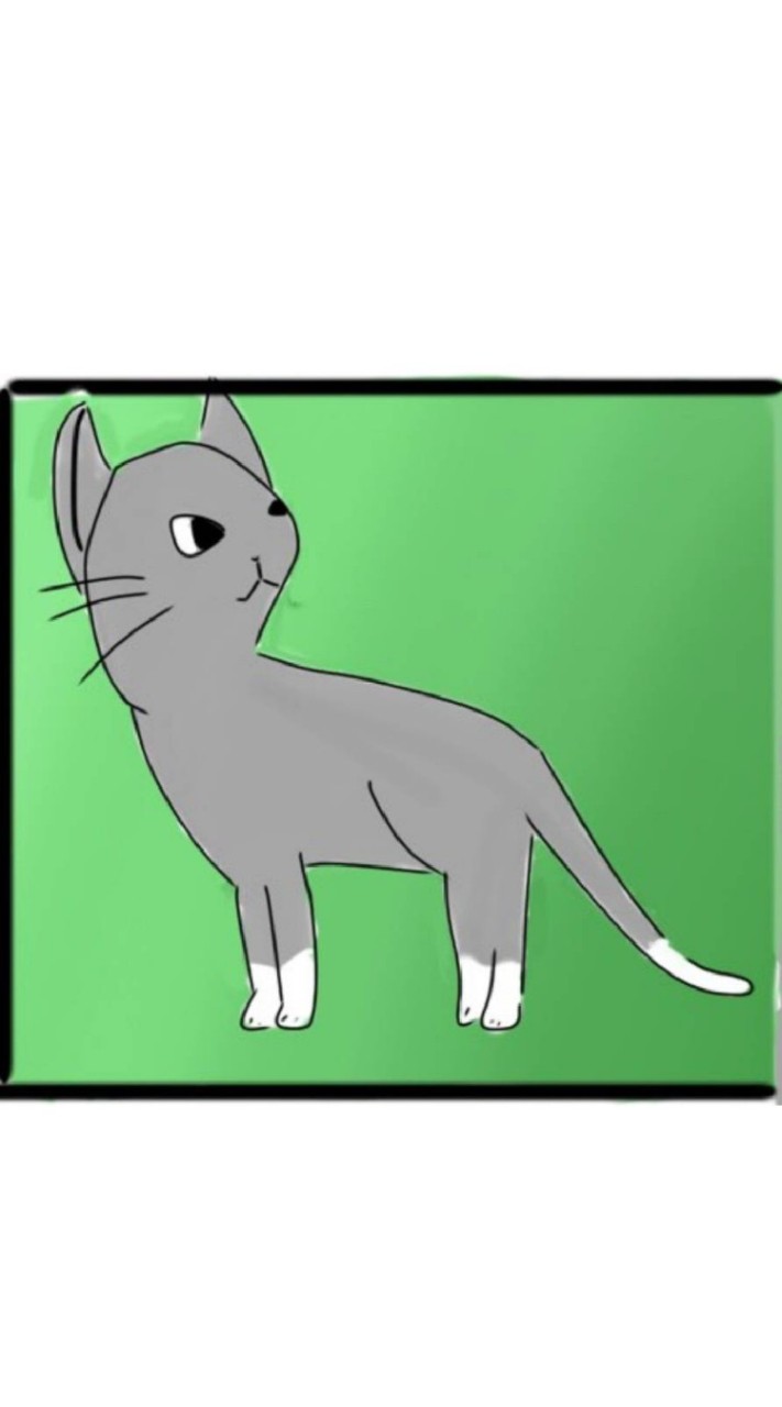 ウォーリアーズ(猫)のファン集え！（1