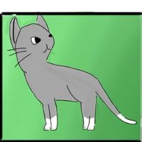ウォーリアーズ(猫)のファン集え！（1