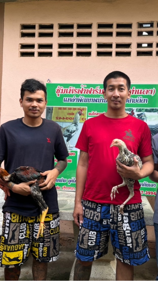 ซุ้ม ต.ลูกระนาด 🐥 ทีเด็ดหมู่10