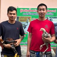 ซุ้ม ต.ลูกระนาด 🐥 ทีเด็ดหมู่10