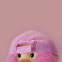 Sweet shop