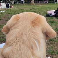 🦮世田谷🐾ラブ会