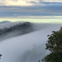 貓頭鷹的旅遊分享群
