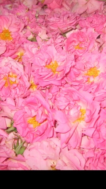 i香氛愛芳療
