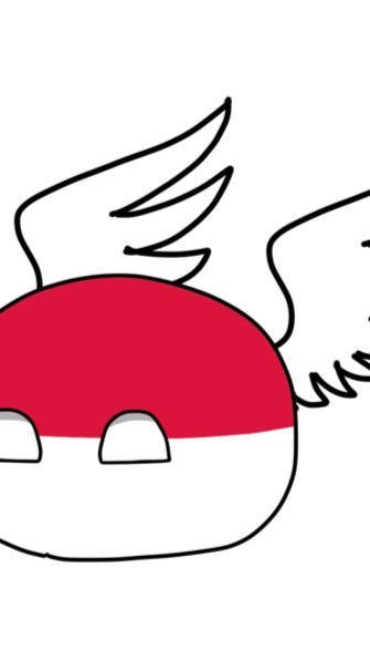 ポーランドボール＆カンヒュ組！