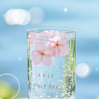 澎湖一六八團購（生活用品）