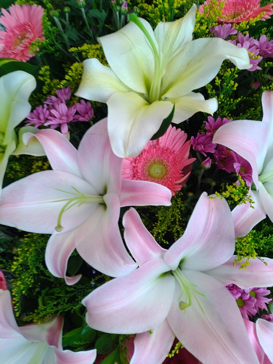 ASUS ZenFone Max Pro（M1） 開箱動手玩，5,000mAh 超大電量