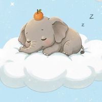 🐘🍊บ้านน้องมีนา (Official)🍊💗