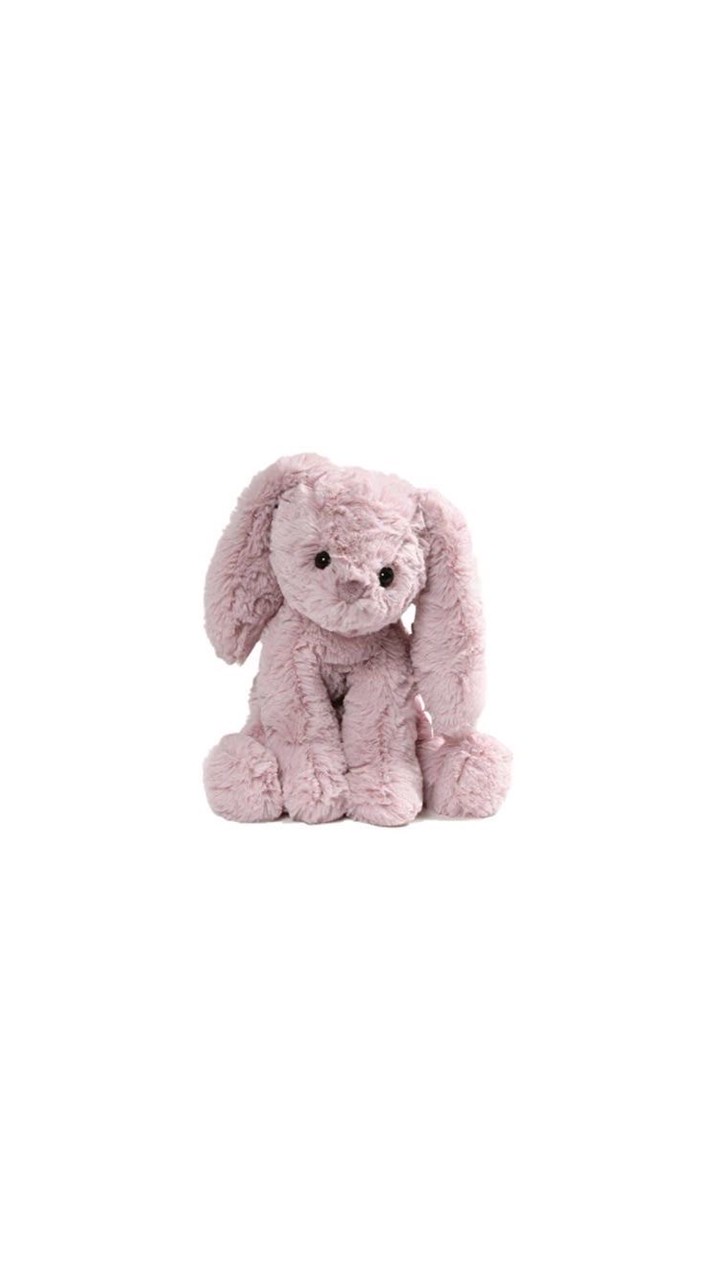 ぬい活部🧸♬.*ﾟぬいぐるみ自慢でオキシトシンに包まれて(⁎ᴗ͈ˬᴗ͈⁎)