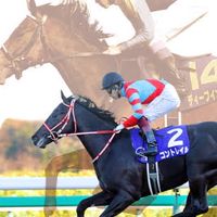 みんなの競馬予想
