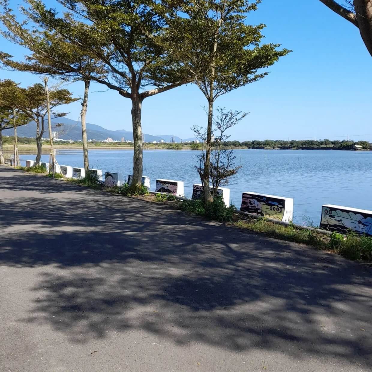 水鳥之家 @waterbird Since2013(6)