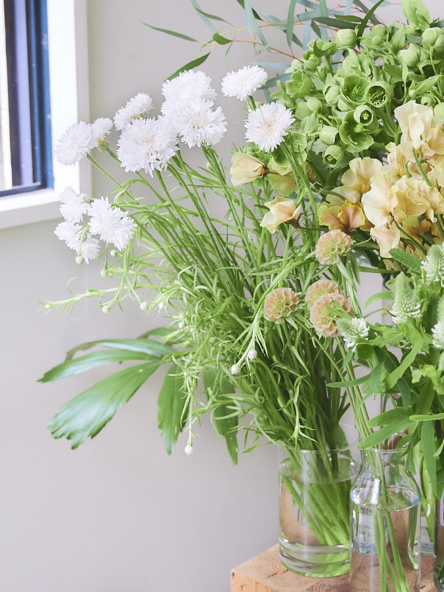 脇役の花を知る幡ヶ谷 Forager センスあふれる東京の花屋