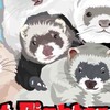 เฟอเรทก่อหวอด - Ferret Fighters TH