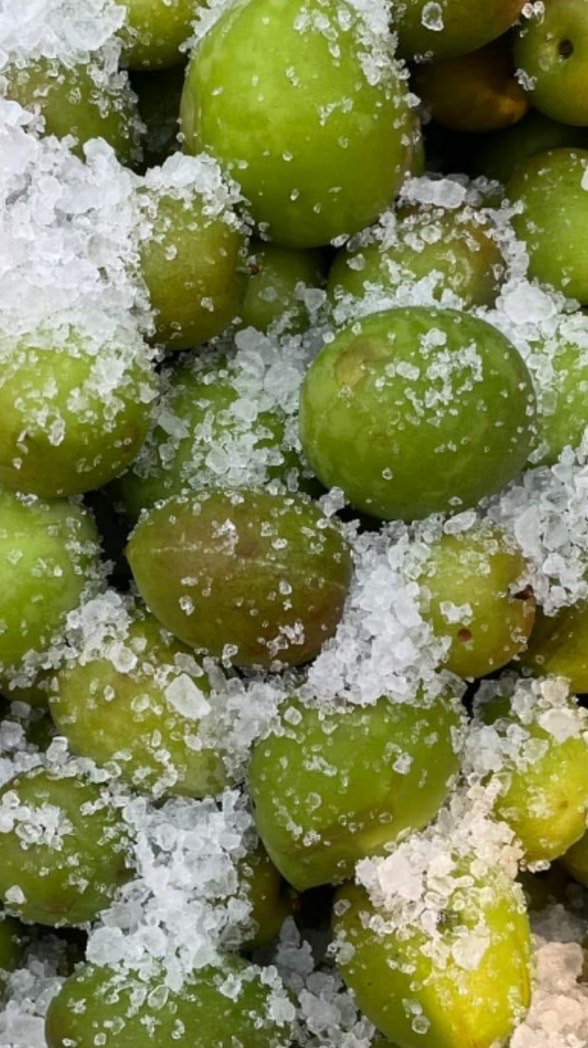 📣小芋頭 渡假旅行 生活圈⛰️。好吃😋好玩❤️好好買🛒