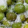 📣台南山海旅行 生活圈⛰️。好吃😋好玩❤️好好買🛒