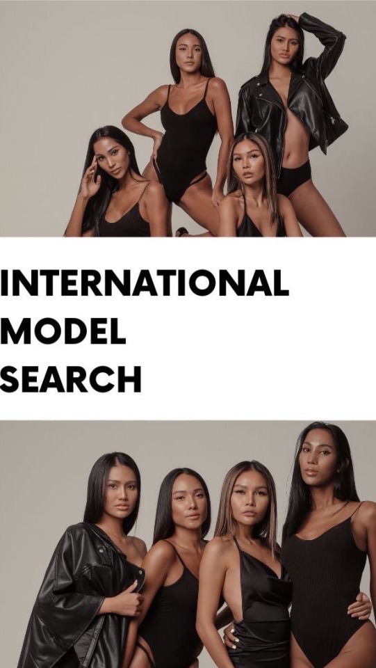 International model search