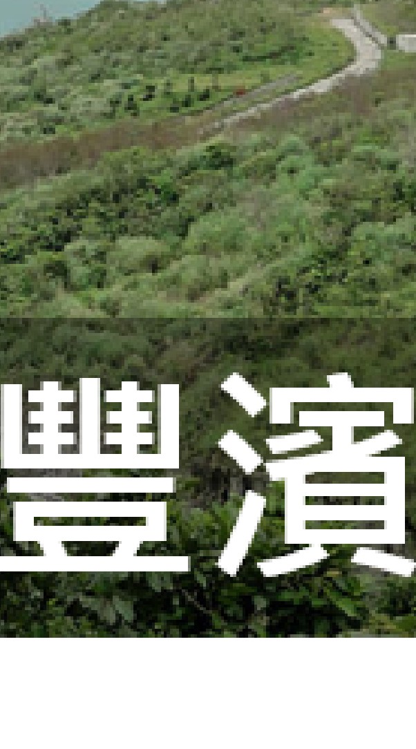 我是豐濱人