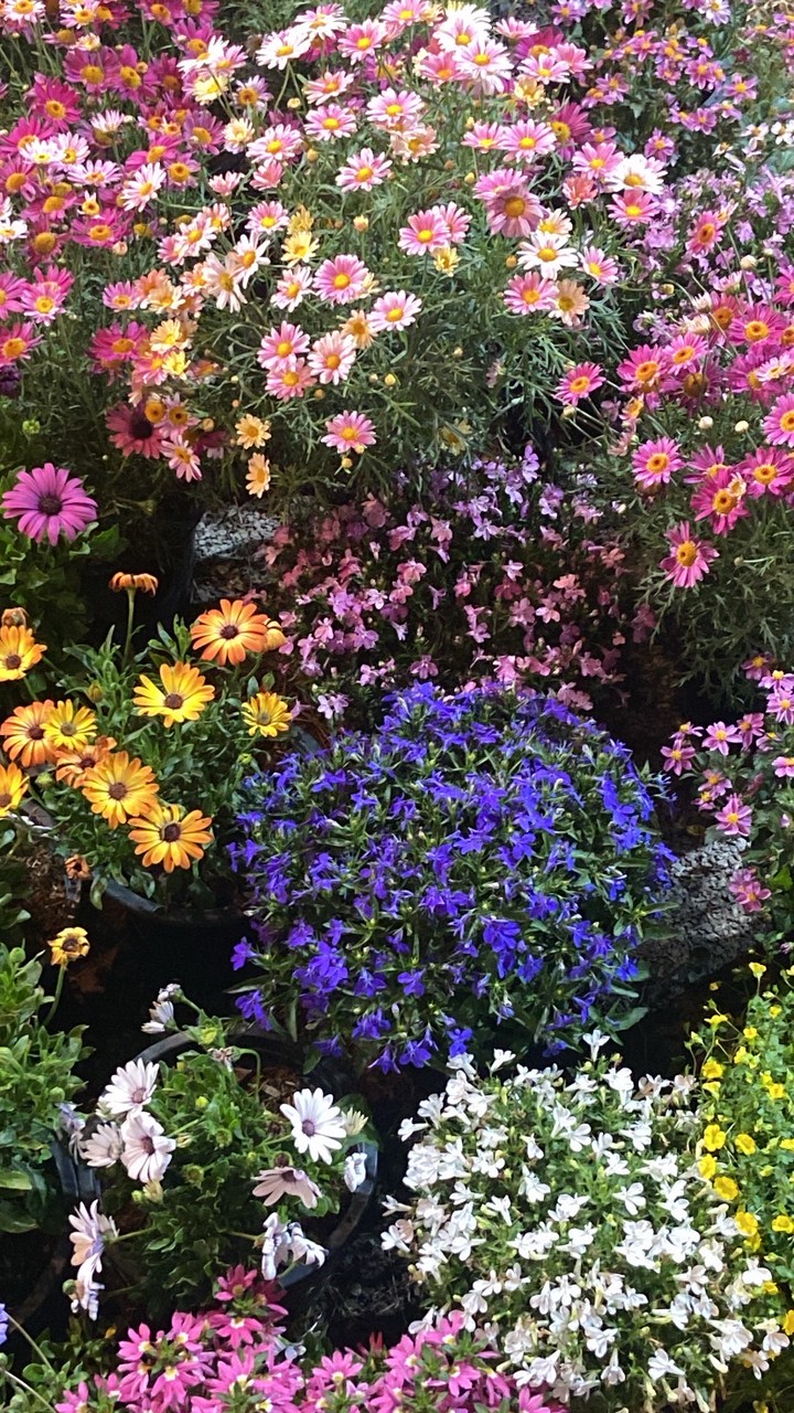 กลุ่มประสานงานผู้เดินขบวน KKU GAME 2025