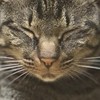 中野西三町会役員