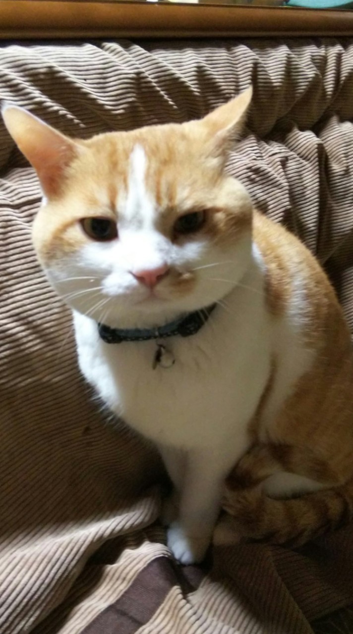 あもあすで遊ぶ部屋