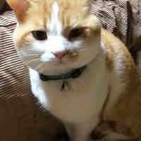 あもあすで遊ぶ部屋