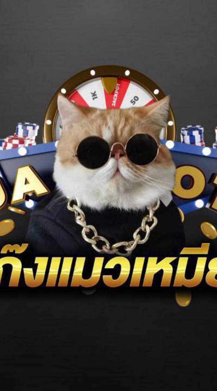 แก๊งแมวเหมี๊ยว