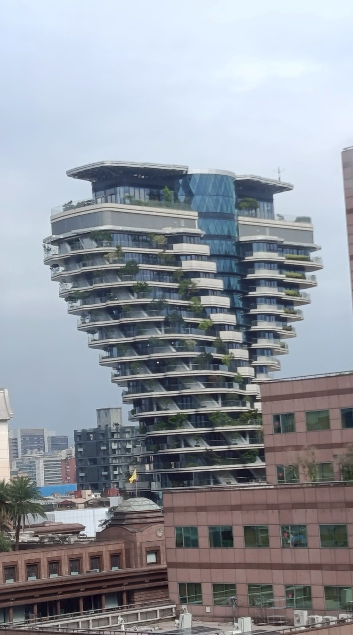 手球社群